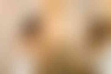 Getting Ready Photos at The Inn at Leola Village