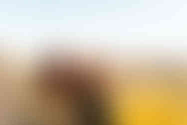 Hershey Gardens Engagement Photos