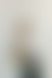 editorial photo of bride and groom in white studio