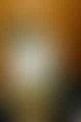 Historic Ashland Wedding