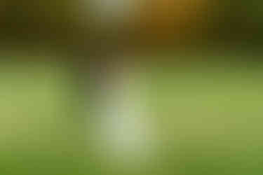 St. Michael's Vineyard Wedding