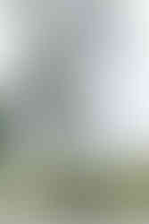 Valley Forge National Park Engagement Photos