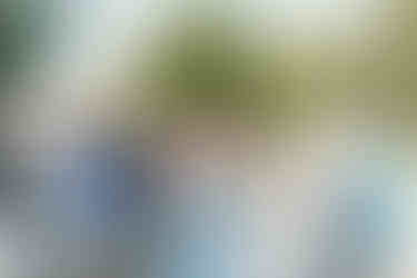 Cameron Estate Inn Garden Wedding Ceremony