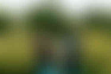 Valley Forge National Park Engagement Photos