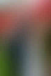 St. Michael's Vineyard Wedding