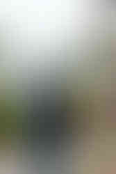 Fall Wedding Bridal Party Inspiration