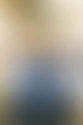 Lititz Springs Inn Wedding