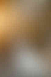 Lititz Springs Inn Wedding