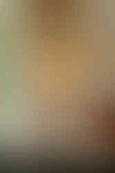 Cameron Estate Inn Wedding Details