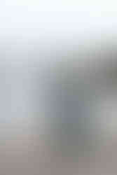 Gifford Pinchot State Park Engagement