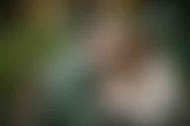 Holiday Engagement Photos