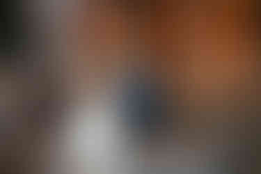 Lititz Springs Inn Wedding