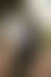 Lancaster PA Engagement Photos