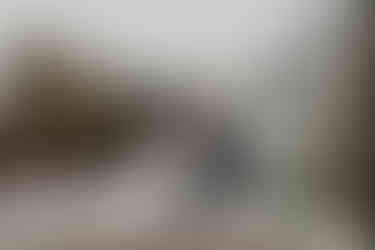 Bride and groom kissing in the back of truck bed