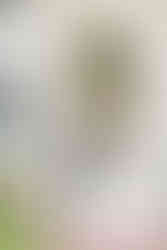 Elkins Estate Wedding