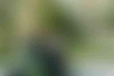 Cameron Estate Inn Garden Wedding Ceremony