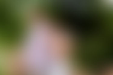 Hershey Gardens Engagement Photos