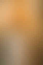 Cameron Estate Inn Wedding Details