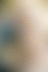 Lititz Springs Inn Wedding