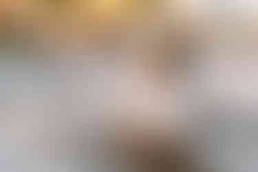 York College Engagement Photos