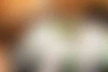 Wyndridge Farm Wedding