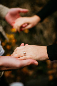 Longwood Gardens Engagement