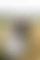 Wyndridge Farm Wedding