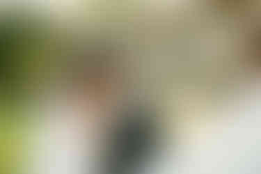 Cameron Estate Inn First Look