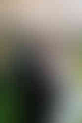 Hershey Gardens Engagement Photos