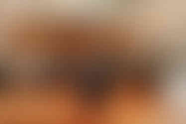 Pomme Radnor Wedding Reception