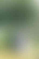 Wyndridge Farm Wedding