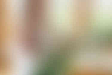 Wyndridge Farm Wedding