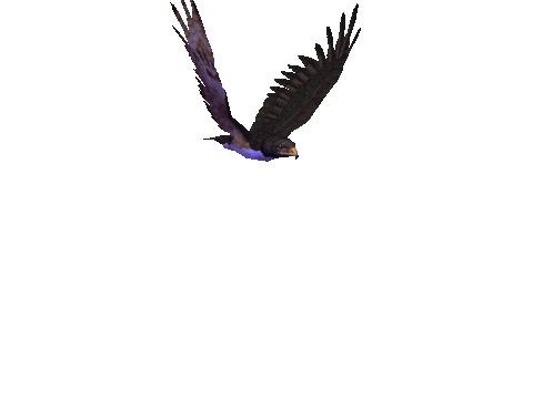 giphy (33).gif