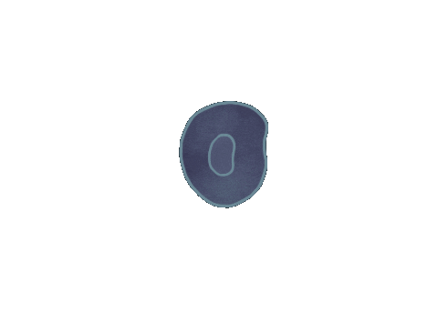 giphy (43).gif