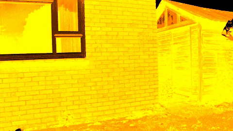 giphy (56).gif