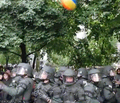 giphy (50).gif