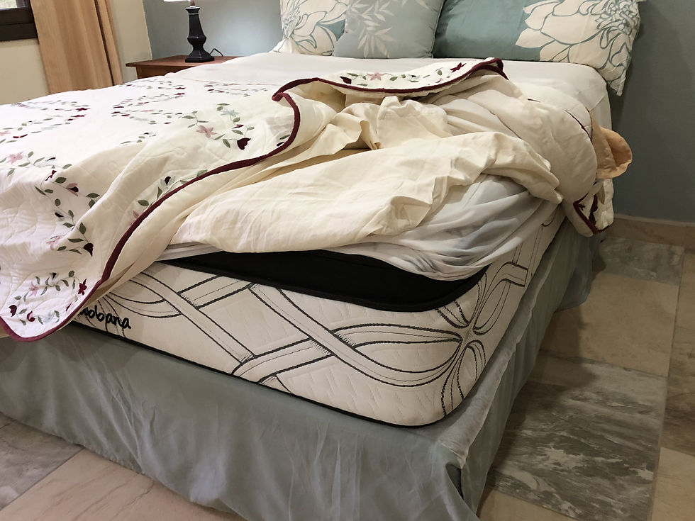 bungalow-tres-arcos-26
