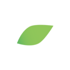 葉っぱ 新の葉.png