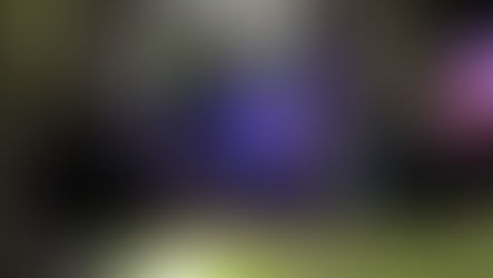 The Corona DJ Awards