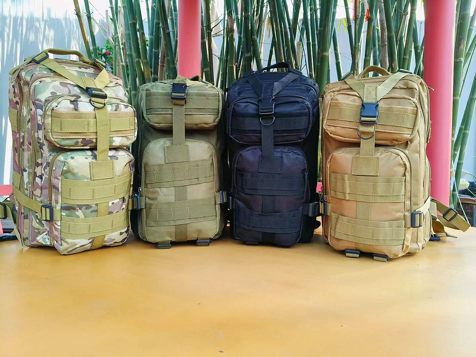 Miniatură: Rucsac 25L US