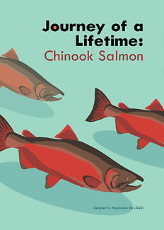 salmon-migration-updated1-3.jpg