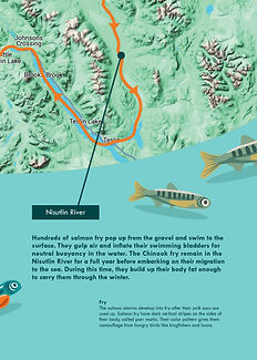 salmon-migration-updated3.jpg