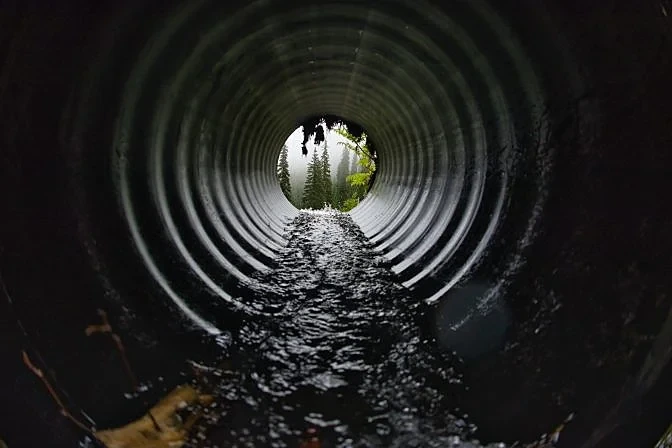 Sewer Scope