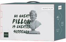 EMMAS PRC Pillow2-Mock up-1020.png