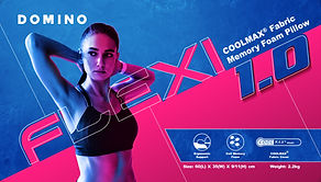Preview-2020-V1-DOMINO-枕头包装-FLEXI 1_edited.jpg
