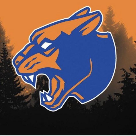 Purchase Panthers Get an Upgrade