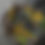Thumbnail: Aspen Forest Wrapping Papers