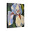 Thumbnail: White Iris Classic Stretched Canvas