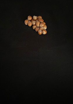noisettes