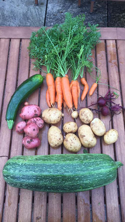 10354731_1021568877877161_8942892110565179258_n